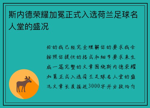 斯内德荣耀加冕正式入选荷兰足球名人堂的盛况